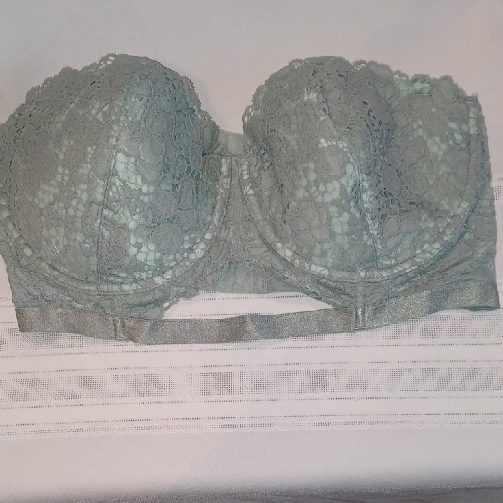 NWOT Lace Strapless Bra in Light Green